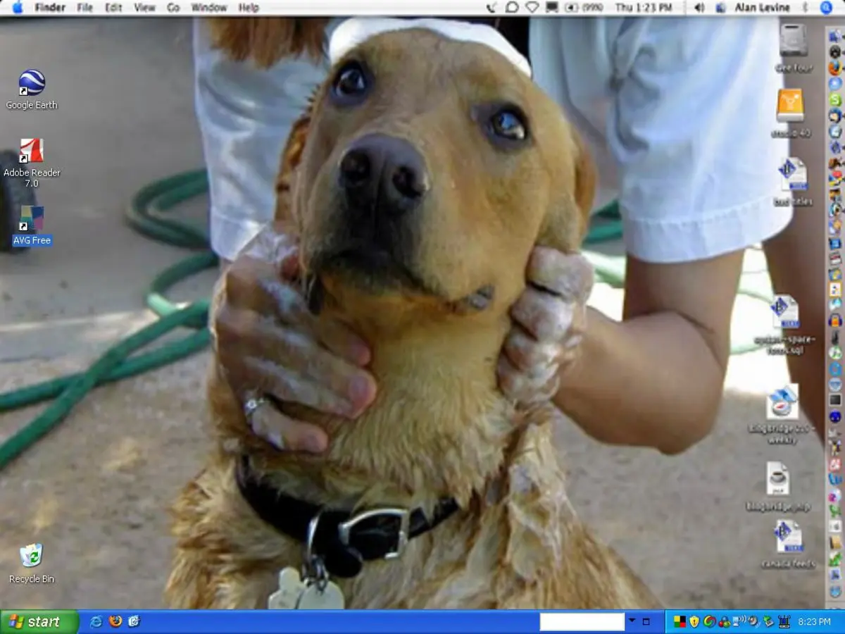 A desktop screen showing a layout